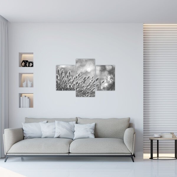 Kép - Bézs színű puha fű N⁰1 (90x60 cm)