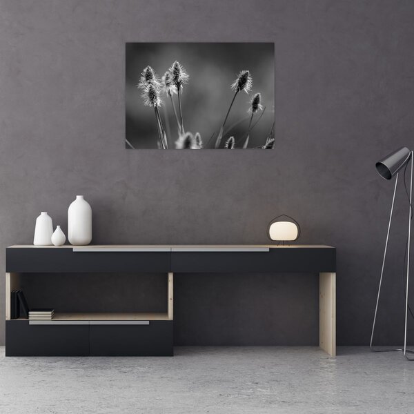 Kép - Bézs színű puha fű N⁰2 (70x50 cm)