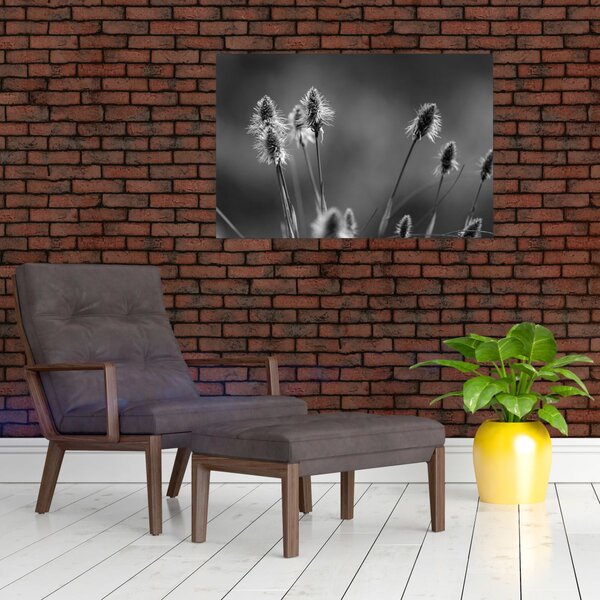 Kép - Bézs színű puha fű N⁰2 (90x60 cm)