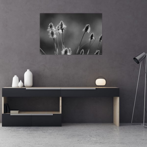 Kép - Bézs színű puha fű N⁰2 (90x60 cm)