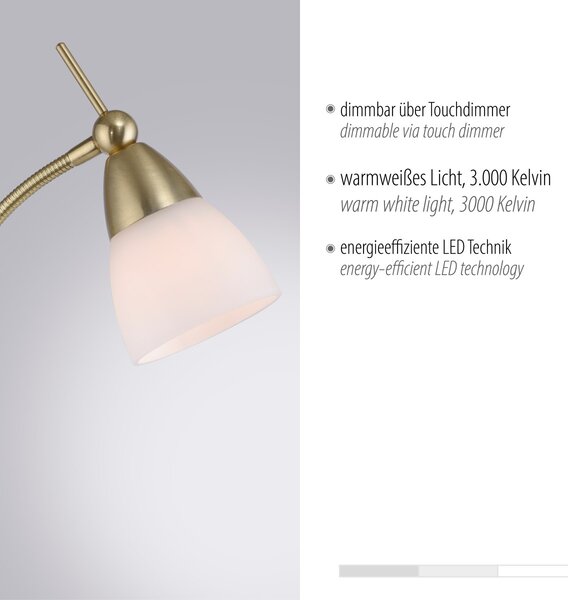 Paul Neuhaus modern állólámpa pino barna pln400-60
