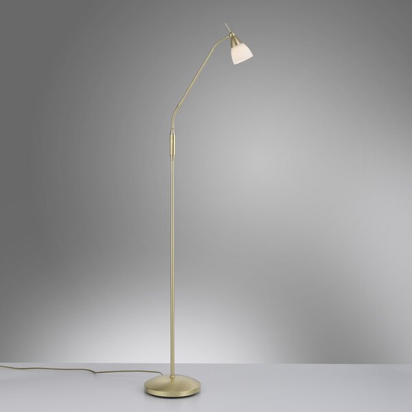 Paul Neuhaus modern állólámpa pino barna pln400-60