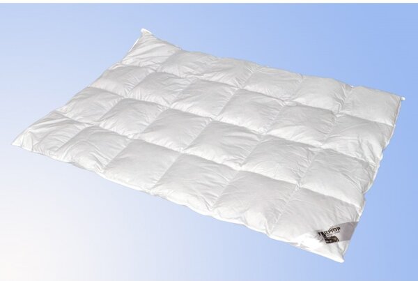 Tollpaplan standard pehelypaplannal TiaHome - 200x140cm