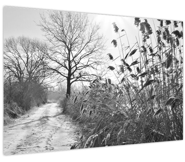 Kép - Mezők télen (90x60 cm)