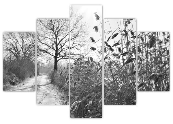 Kép - Mezők télen (150x105 cm)
