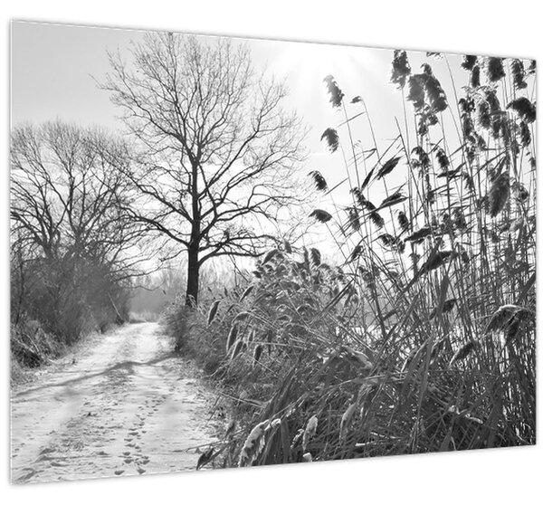 Kép - Mezők télen (70x50 cm)
