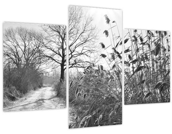 Kép - Mezők télen (90x60 cm)