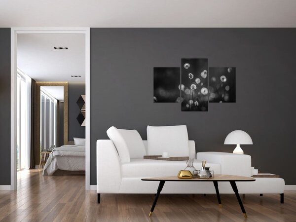 Kép - Pamutfű a réten (90x60 cm)