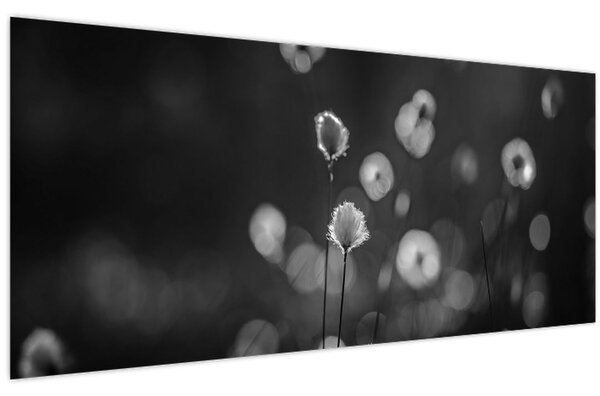 Kép - Pamutfű a réten (120x50 cm)