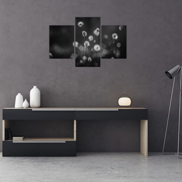 Kép - Pamutfű a réten (90x60 cm)