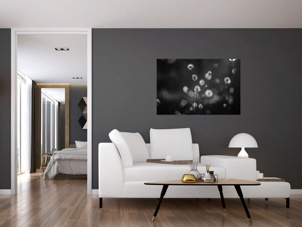Kép - Pamutfű a réten (90x60 cm)