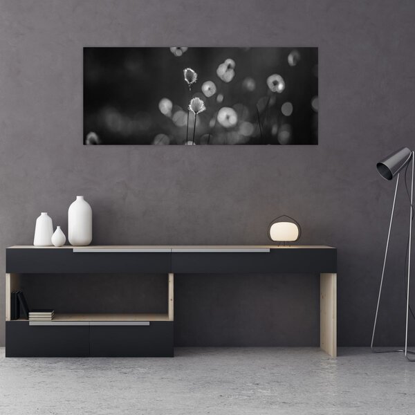 Kép - Pamutfű a réten (120x50 cm)