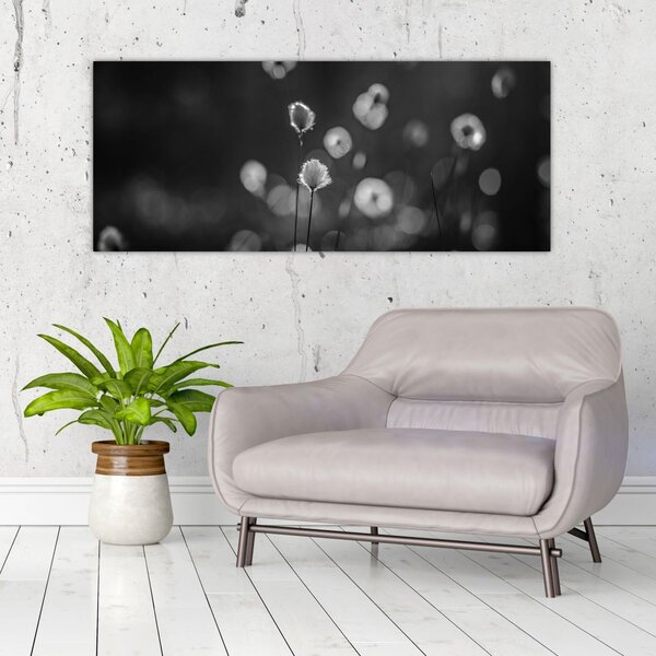 Kép - Pamutfű a réten (120x50 cm)