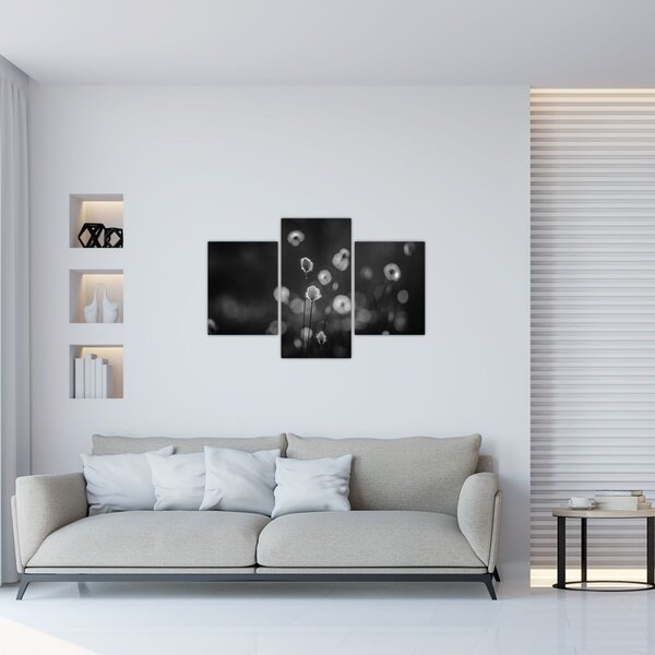 Kép - Pamutfű a réten (90x60 cm)
