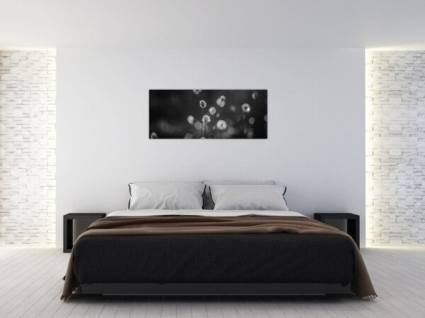 Kép - Pamutfű a réten (120x50 cm)