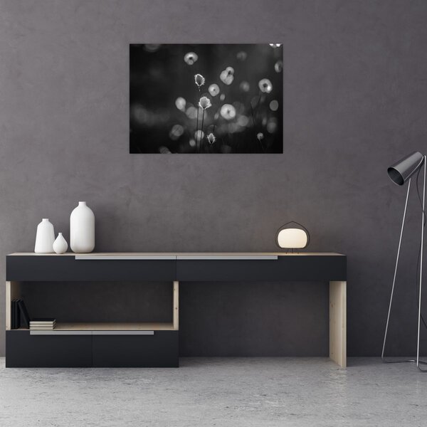 Kép - Pamutfű a réten (70x50 cm)