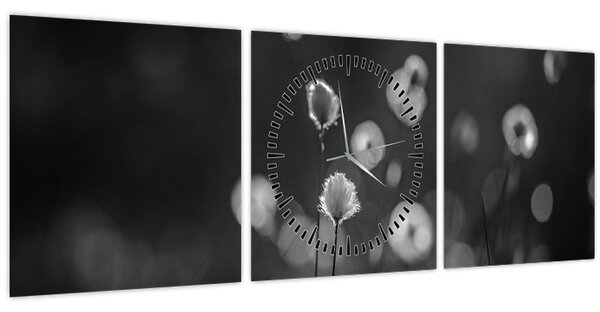 Kép - Pamutfű a réten (órával) (90x30 cm)