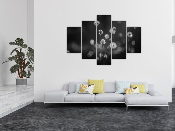 Kép - Pamutfű a réten (150x105 cm)