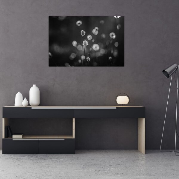 Kép - Pamutfű a réten (90x60 cm)