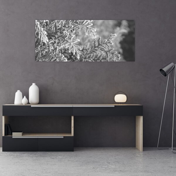 Kép - Lucfenyő erdő (120x50 cm)