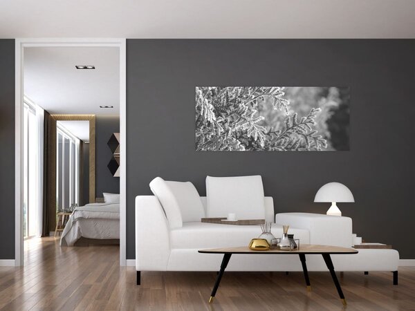 Kép - Lucfenyő erdő (120x50 cm)