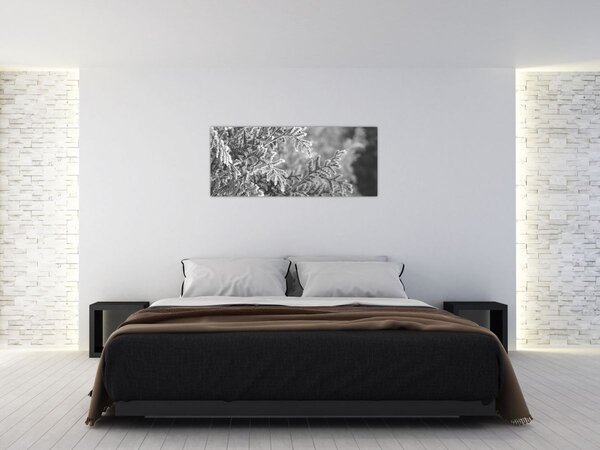 Kép - Lucfenyő erdő (120x50 cm)