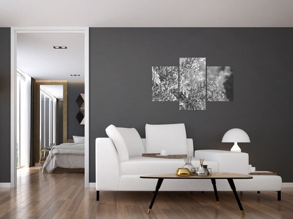 Kép - Lucfenyő erdő (90x60 cm)