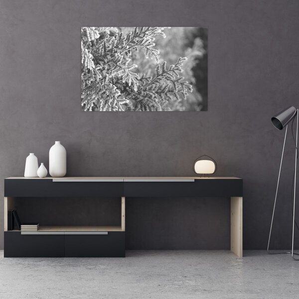 Kép - Lucfenyő erdő (90x60 cm)