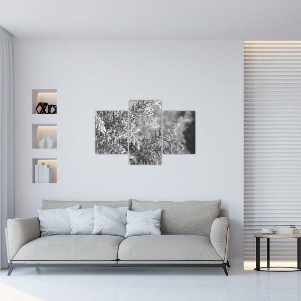 Kép - Lucfenyő erdő (90x60 cm)