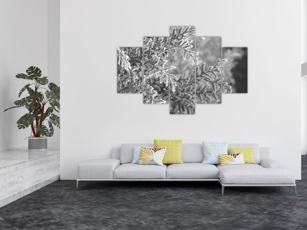 Kép - Lucfenyő erdő (150x105 cm)