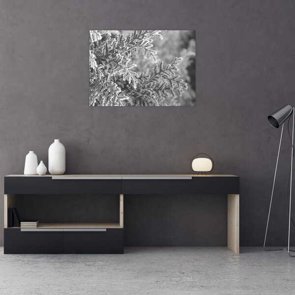 Kép - Lucfenyő erdő (70x50 cm)
