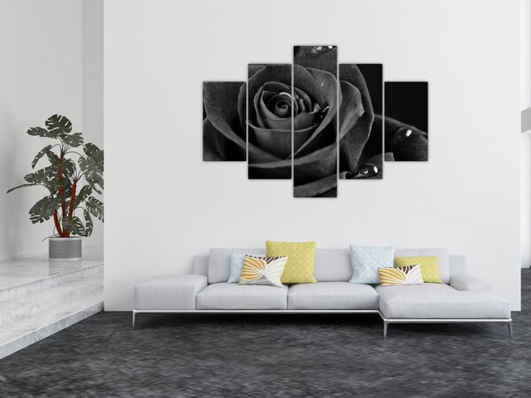 Kép - Bíborvörös rózsa (150x105 cm)