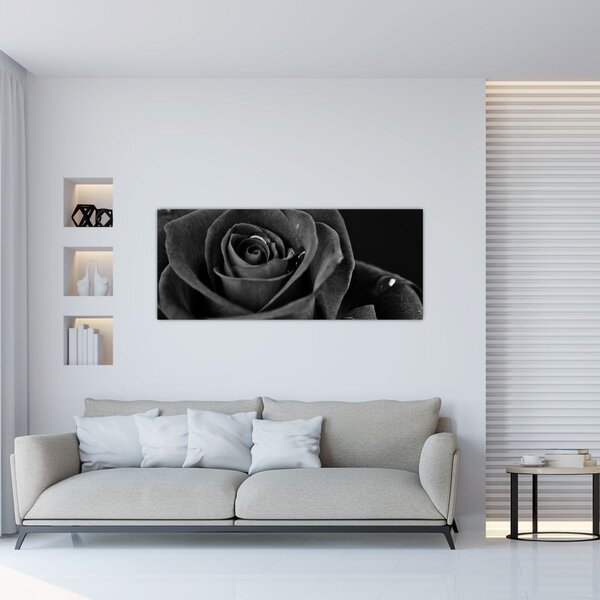 Kép - Bíborvörös rózsa (120x50 cm)