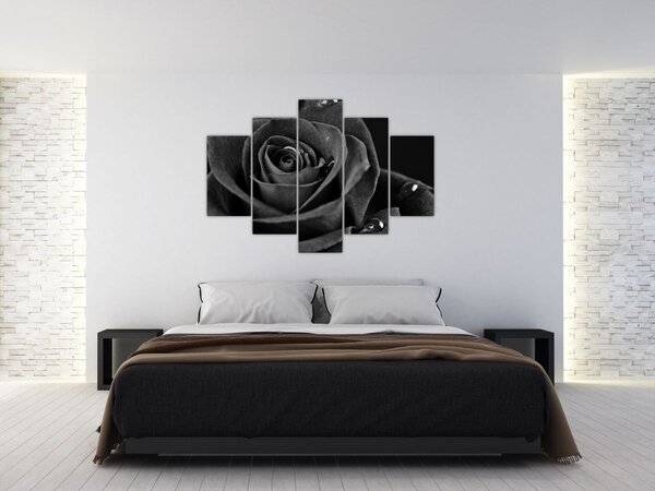 Kép - Bíborvörös rózsa (150x105 cm)