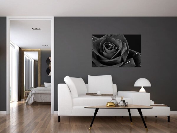 Kép - Bíborvörös rózsa (90x60 cm)