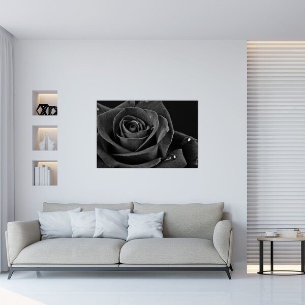 Kép - Bíborvörös rózsa (90x60 cm)