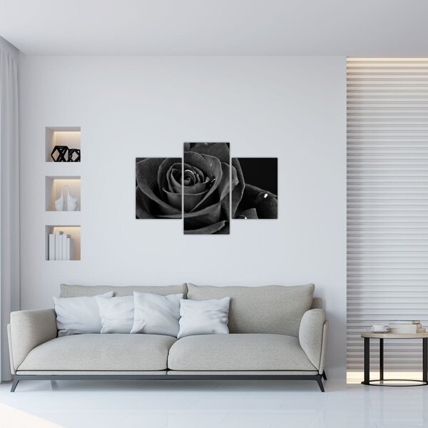 Kép - Bíborvörös rózsa (90x60 cm)