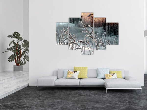 Kép - Fagyott rét (150x105 cm)