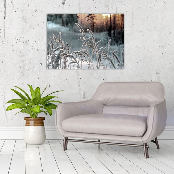 Kép - Fagyott rét (70x50 cm)