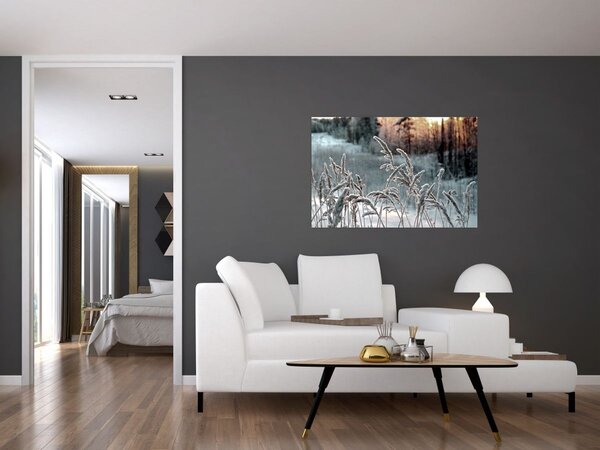 Kép - Fagyott rét (90x60 cm)