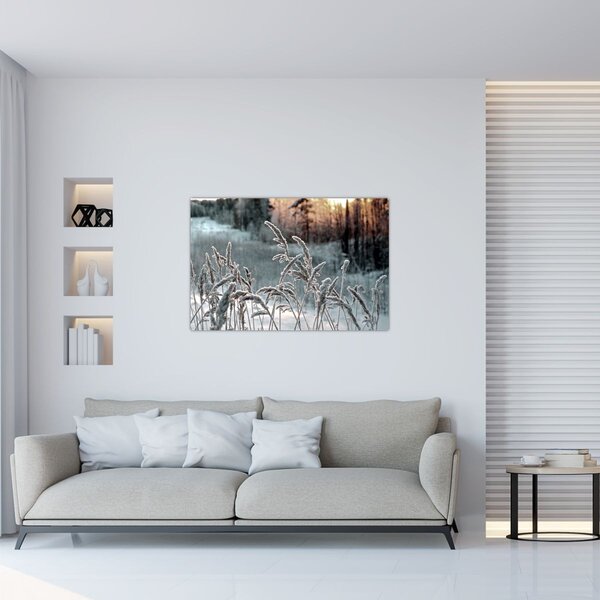 Kép - Fagyott rét (90x60 cm)