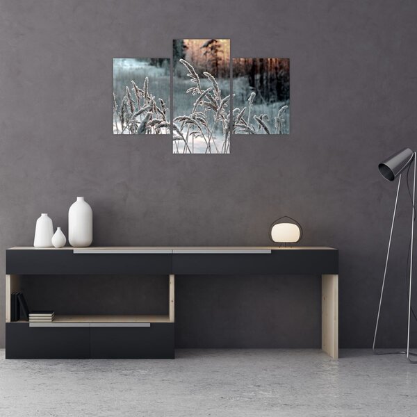 Kép - Fagyott rét (90x60 cm)