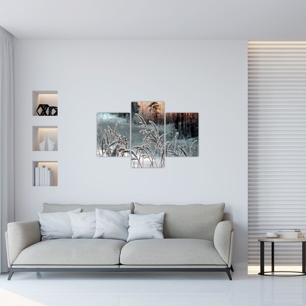Kép - Fagyott rét (90x60 cm)
