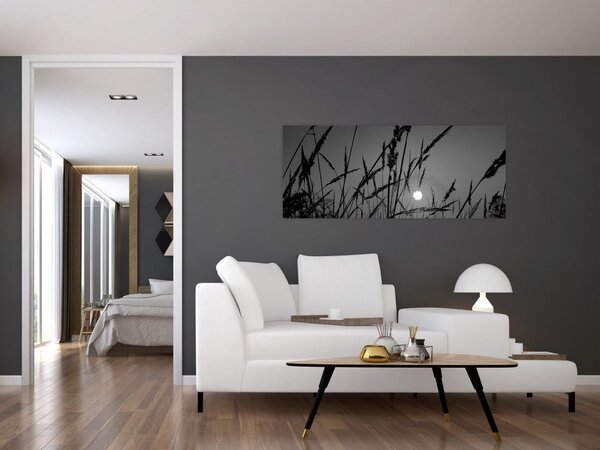 Kép - rét naplementével (120x50 cm)