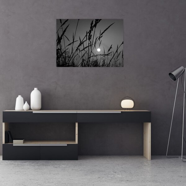 Kép - rét naplementével (70x50 cm)