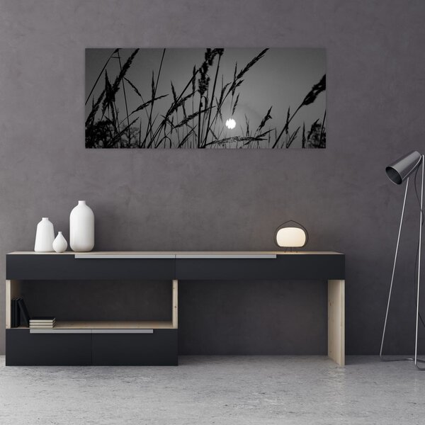 Kép - rét naplementével (120x50 cm)