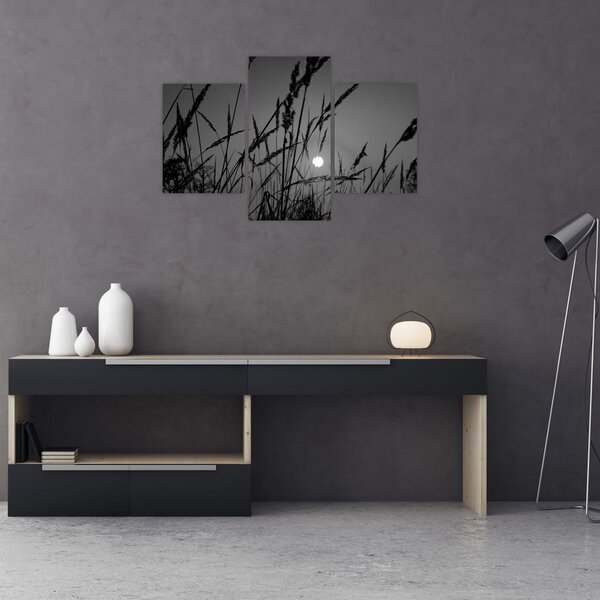 Kép - rét naplementével (90x60 cm)