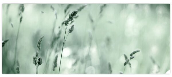 Kép - Zöld rét (120x50 cm)