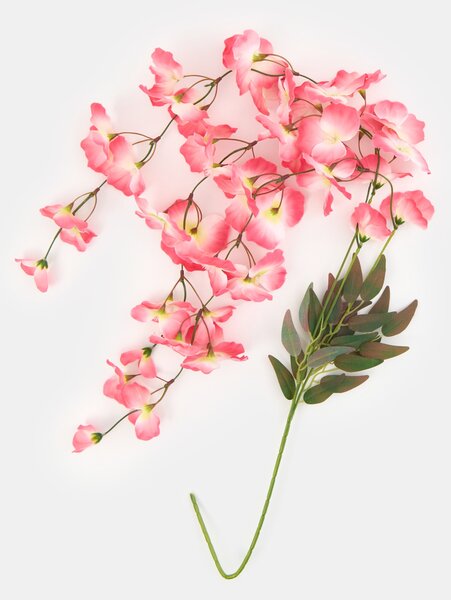 Sinsay - Dísznövény – lilaakác - pasztellpink