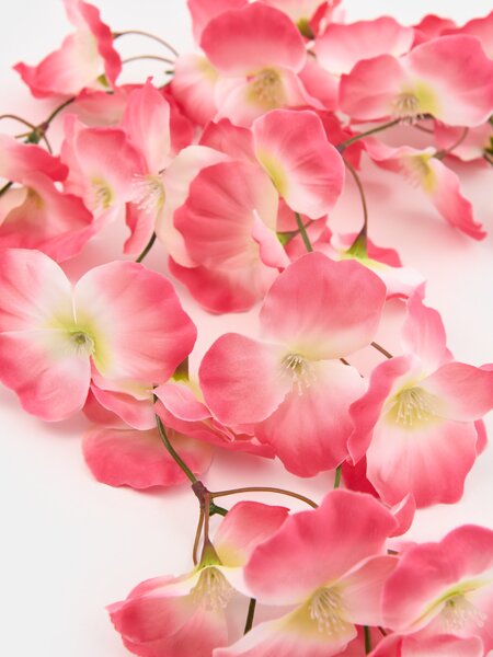 Sinsay - Dísznövény – lilaakác - pasztellpink